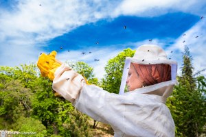 Donne e imprese, corso di apicoltura di Conapi e Cefa