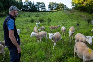 Nasce nel Parco nazionale delle Foreste Casentinesi la scuola per pastori e allevatori