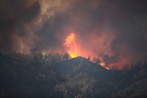 Prevenzione degli incendi boschivi: al via lavori nelle Aree interne Appennino piacentino-parmense, Appennino emiliano (RE), Alta Val Marecchia (RN) e Basso ferrarese