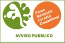 Avviso pubblico per ricerca di personale nel Parco Nazionale delle Foreste Casentinesi