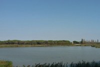 Parco Delta del Po. Regione Emilia-Romagna, Comune di Ravenna ed Ente Parco stanziano le risorse per le aree Ortazzo e Ortazzino nel ravennate