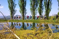Turismo sostenibile. Torna "Trekking col treno": da aprile a dicembre 41 escursioni lungo i sentieri del territorio bolognese