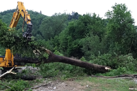 Bacino del Reno: conclusi i lavori di rimozione di alberi pericolanti e ammassi di legna provocati dal’alluvione dello scorso maggio