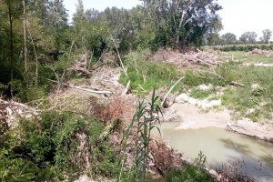 Legname, autorizzata la raccolta ad uso privato nei corsi d'acqua dell'Emilia-Romagna