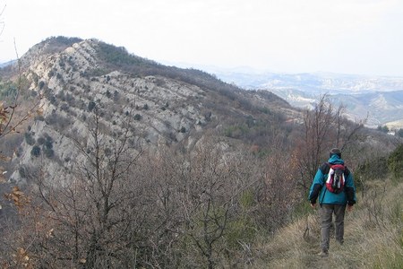 7mila nuovi ettari dell’Emilia-Romagna entrano a far parte della rete europea ‘Natura 2000’