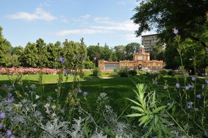 Parchi e giardini storici: un bando della Regione per proporli come bene culturale da conoscere, fruire e rispettare