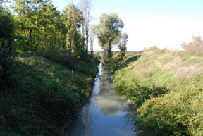 Uno scorcio dell'Oasi pegolotta (Archivio Provincia di Reggio Emilia)