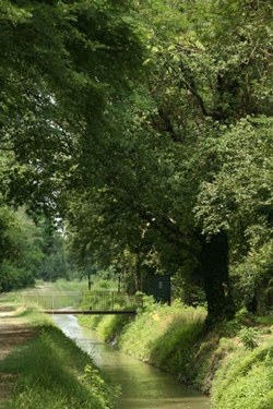 foto: Scorcio del Canale vicino al Ponte delle Lavandaie. (Autore Giovanni Bartolotti)