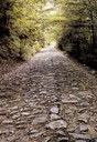 foto: L'antica via Vandelli: strada carrozzabile completata verso la metà del Settecento - Archivio Parco