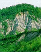 Cima