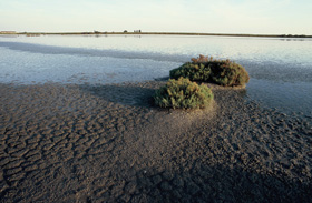 foto:Salina di Comacchio - autore Liverani