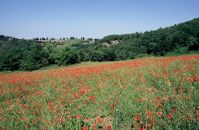 foto: dolina della Spipola - autore F.Liverani (Archivio Servizio Parchi)