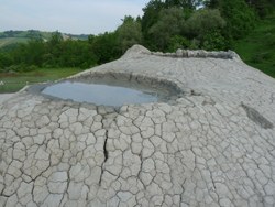 Vulcanetti di fango - Riserva naturale regionale Salse di Nirano (autore MV Biondi)