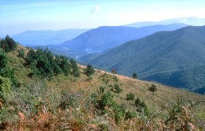 La valle del Brasimone - autore A.Mauri