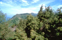 foto: veduta di Monte Calvi - autore A.Mauri