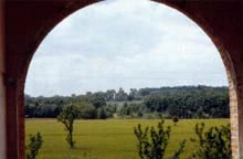 foto apertura Bosco di Scardavilla