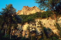 Monte Adone parete e bosco sottostante - autore Fabio Ballanti (Archivio Servizio Parchi)