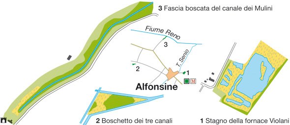 Riserva naturale Alfonsine