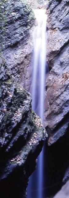 Forra e cascata del Rio Albonello (RA). Foto Stefano Bassi