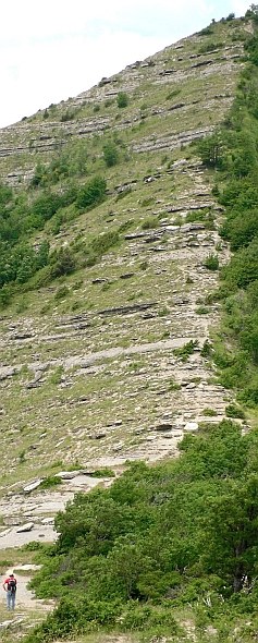 Rupe arenacea dell'Appennino romagnolo. Foto Stefano Bassi