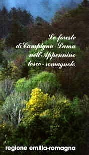 Copertina della pubblicazione "Le foreste di Campigna-Lama nell'Appennino tosco-romagnolo" 