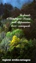Copertina della pubblicazione "Le foreste di Campigna-Lama nell'Appennino tosco-romagnolo" 