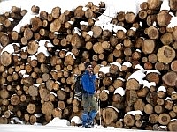 Il legno è il prodotto principale ricavabile dal bosco. Foto Stefano Bassi