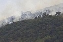 Incendio forestale: il fuoco si propaga verso l'alto, spinto dal vento e dalla presenza di combustibile. Foto Lorenzo Bassi