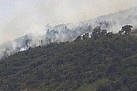 Incendio forestale: il fuoco si propaga verso l'alto, spinto dal vento e dalla presenza di combustibile. Foto Lorenzo Bassi