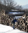 Catasta di legname da opera. Foto Stefano Bassi
