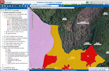 GIS WEB Sistema Informativo Forestale regionale