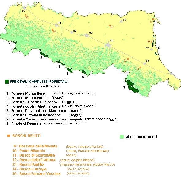 Mappa dei principali complessi forestali regionali (Foresta Monte Nero PC, Monte Penna e Valparma Valcedra PR, Ozola-Abetina Reale RE, Pievepelago-Maccheria MO, Lizzano BO, Casentinesi FC e Pinete di Ravenna) e di alcuni boschi relitti (Boscone della Mesola e Panfilia FE, Punte Alberete RA, Scardavilla FC, Frattona BO, Carrega PR e Fornace Vecchia PC), con accenno alle specie edificatrici più rappresentative.