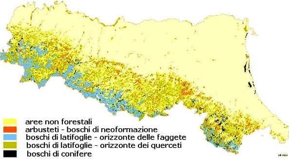 Mappa dei macrotipi forestali in Emilia-Romagna rappresentati in base alla cartografia dell'Uso del Suolo  