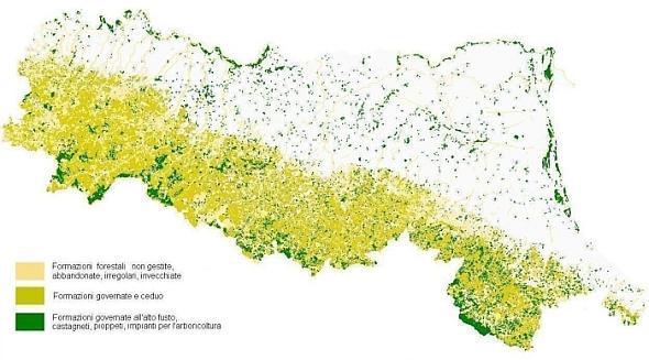 La carta illustra la distribuzione di cedui, fustaie e foreste abbandonate o non gestite, individuati in base alla classificazione della forma di governo e trattamento. Archivio Servizio Parchi e Risorse forestali RER