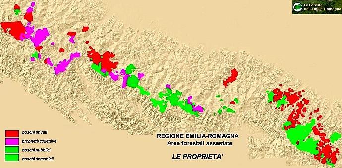 Cartina delle proprietà delle aree forestali in regione