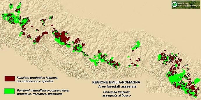 Immagine delle aree forestali in regione