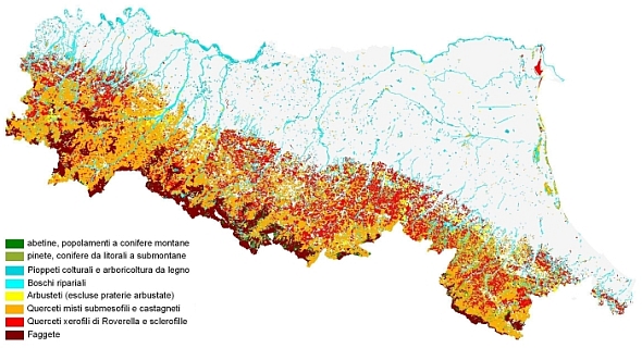 I principali tipi forestali dell'Emilia-Romagna mappati sulla classificazione delle Carte forestali. Archivio Servizio Parchi e Risorse forestali RER