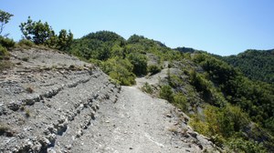 foto: crinale sull'AVP verso Marradi (Archivio Parco nazionale Foreste Casentinesi)