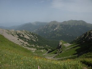 Valle dell'Inferno (sullo sfondo M. Alto e Alpe di Succiso).