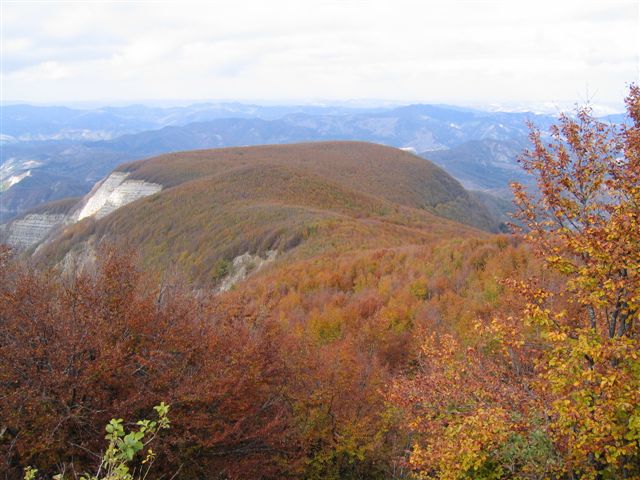 foto: Pian delle Fontanelle da Monte Falco (Autore Fiorenzo Rossetti)