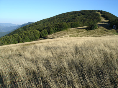 foto: Prati della Burraia (Fonte Parco nazionale Foreste Casentinesi)