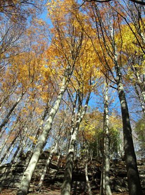 foto: Salendo al Monte Penna (Autore Federica Bardi)