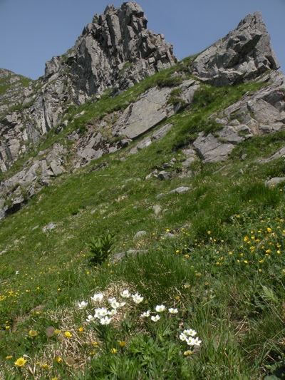 foto: Passo di Pietra Tagliata (Autore Antonella Lizzani)