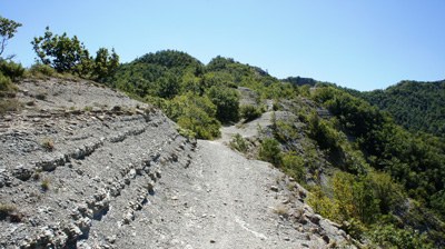 foto: Crinale sentiero Marradi (Fonte Archivio Parco Nazionale Foreste Casentinesi)