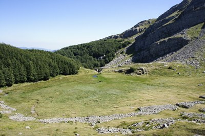 foto: Torbiera presso il Passo di Badignana (Autore Nevio Agostini)