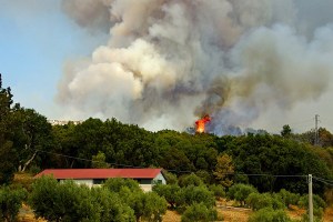 Avvio della fase di attenzione per gli incendi boschivi