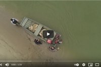 E' uscito il video della liberazione in mare delle anguille delle Valli di Comacchio