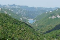 Foreste Casentinesi ammesse nella "Green list" dei parchi più importanti del mondo