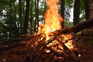 Incendi boschivi: continua fino al  30 settembre la "fase di attenzione" in tutta la regione