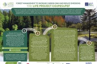 La gestione sostenibile delle foreste come nature-based solution per il cambiamento climatico